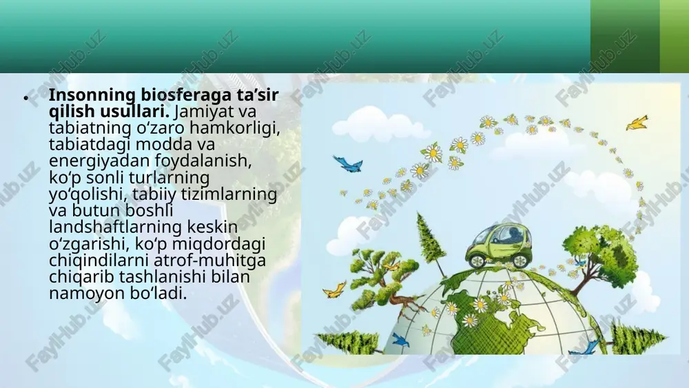 inson biosfera o'qitish - Page 3
