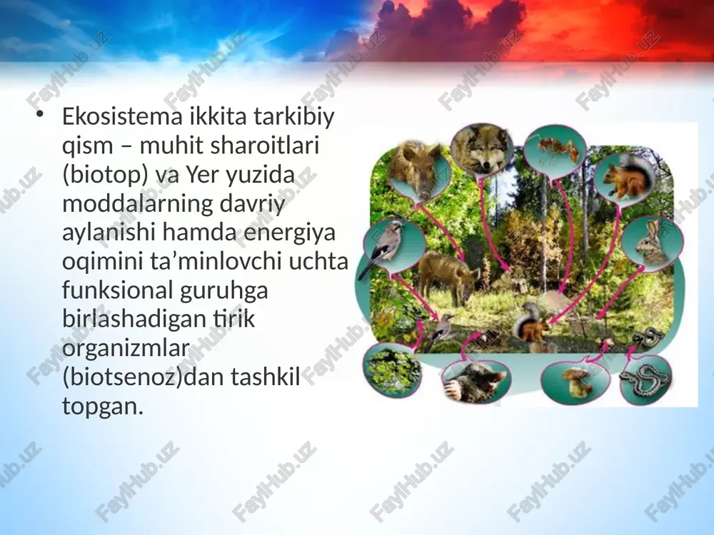 i – o‘z tarkibiy qismlari o‘rtasidagi muvozanat va o‘zaro munosabatlarni tabiiy yoki antropogen ta’sirlardan so‘ng tiklay olish xususiyati. biogeotsenozdagi biotik munosabatlar tufayli turlar soni doimiy saqlanadi. biogeotsenozlarning rivojlanish xususiyati ularning tuzilishi hamda faoli yatida o‘zgarishlarning sodir bo‘lishi bilan bog‘liq. biogeotsenozlardagi o‘zgarishlar davriy (siklik) va tadrijiy (izchil) bo‘ladi. davriy o‘zgarishlar muhit omillarining sutkalik, mavsumiy o‘zgarishlari, shuningdek bioritmlar bilan belgilanadi. suksessiya – biotsenoz (ekosistema)larni tashkil etgan turlarning tarkiban o‘zgarishi va jamoa tarkibiy tuzilishining izchillik asosida o‘rin almashinishi natijasida vujudga keladi. image2.jpeg image3.jpeg image4.jpeg image5.jpeg image6.jpeg image7.jpeg image8.jpeg image9.jpeg image10.jpeg image11.jpeg image12.png image13.jpeg image1.jpeg /docprops/thumbnail.jpeg