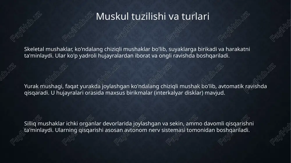muskullar - Page 3
