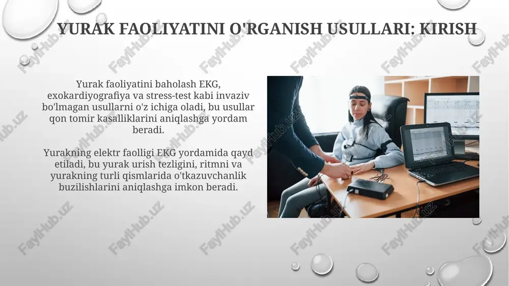 e13.jpg image3.png