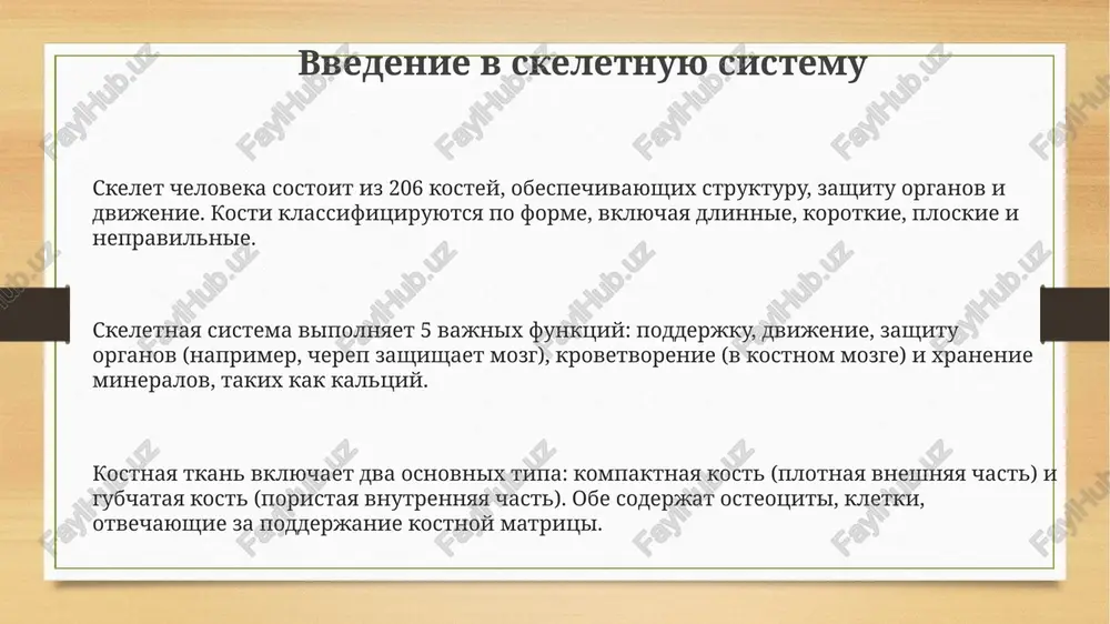prezentatsiya - Page 3