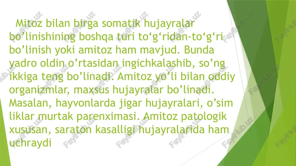 hujayra boʻlinishining norasmiy tiplari - Page 3