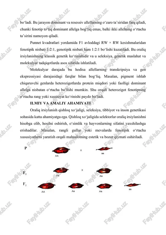 utsion biologiyada ham katta ahamiyatga ega, chunki u allellarning tarqalishi, genofonddagi o‘zgarishlar va populyatsiyalar evolyutsiyasini tahlil qilish imkonini beradi. umuman olganda, belgilarni oraliq irsiylanishi genetik merosning murakkab mexanizmlarini chuqur tushunishda, amaliy seleksiya va klinik genetika sohasida qo‘llaniladi. kelajakda molekulyar biologiya, biotexnologiya va genom tahriri sohalaridagi yutuqlar oraliq irsiylanishni yanada kengroq o‘rganish va yangi genetik yechimlar yaratishga imkon beradi. image1.jpeg image2.jpeg image3.png image4.jpeg