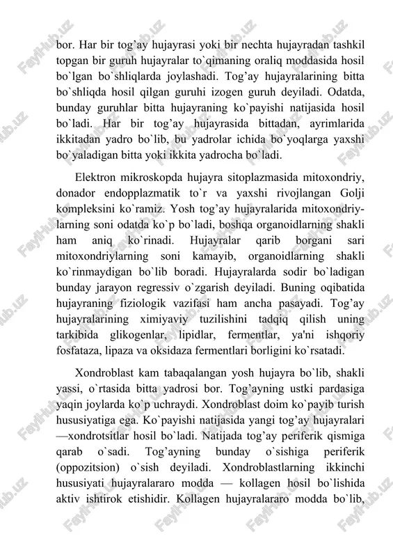 ntlar, ya'ni ishqoriy fosfataza, lipaza va oksidaza fermentlari borligini ko`rsatadi. xondroblast kam tabaqalangan yosh hujayra bo`lib, shakli yassi, o`rtasida bitta yadrosi bor. tog’ayning ustki pardasiga yaqin joylarda ko`p uchraydi. xondroblast doim ko`payib turish hususiyatiga ega. ko`payishi natijasida yangi tog’ay hujayralari—xondrotsitlar hosil bo`ladi. natijada tog’ay periferik qismiga qarab o`sadi. tog’ayning bunday o`sishiga periferik (oppozitsion) o`sish deyiladi. xondroblastlarning ikkinchi hususiyati hujayralararo modda — kollagen hosil bo`lishida aktiv ishtirok etishidir. kollagen hujayralararo modda bo`lib, uning tarkibida tropokollagen, elastik va tog’ayning asosiy moddasi uchraydi. xondroblast sitoplazmasida rnk ko`p, hujayra organoidlari ham yaxshi rivojlangan. tog’ay to`qimaning hujayralararo moddasi. tog’ay to`qimaning hujayralararo moddasi kollagen (xondrin) va kamroq uchraydigan elastik tolalardan hamda asosiy amorf moddadan tashkil topgan. xondrin tolachalari ximiyaviy tuzilishiga ko`ra biriktiruvchi to`qima tarkibida uchraydigan kollagen tolachalarga o`xshaydi. mikroskopda oddiy nur yordamida ko`rinmaydi, uni ko`rish uchun tripsin, bariyli suv bilan impregnatsiya qilish kerak. shunda tolachalarning to`rsimon shaklda joylashganligi yaxshi ko`rinadi. tog`ay to`qimasining asosiy amorf moddasi protein …