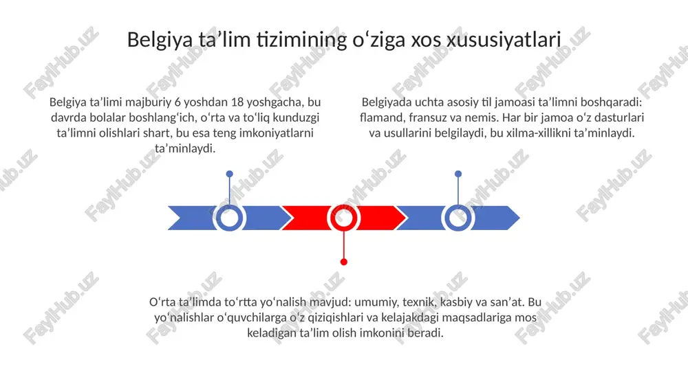 belgiya ta'lim tizimining oʻziga xos xususiyatlari - Page 3