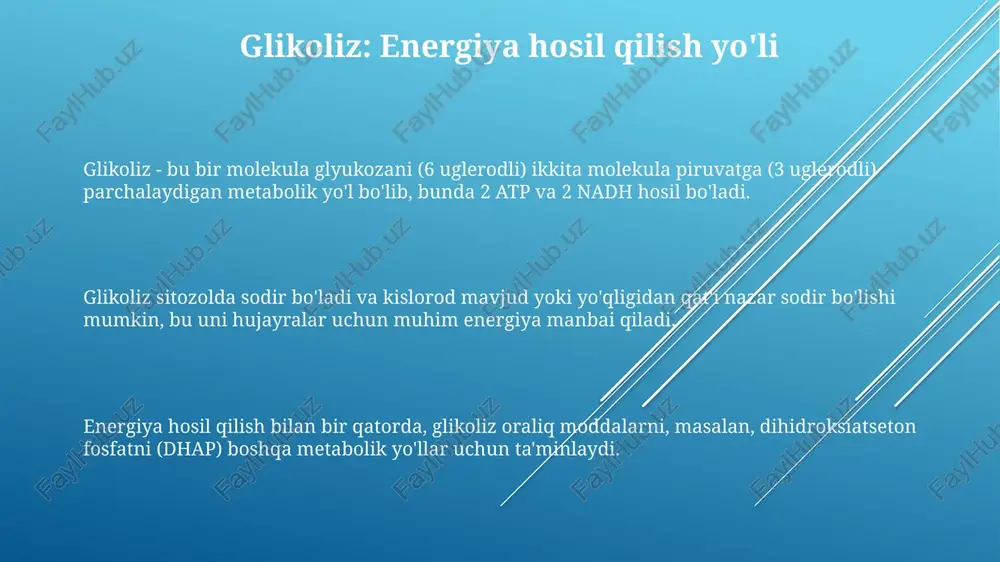 glikoliz va glyukoneogenez - Page 3