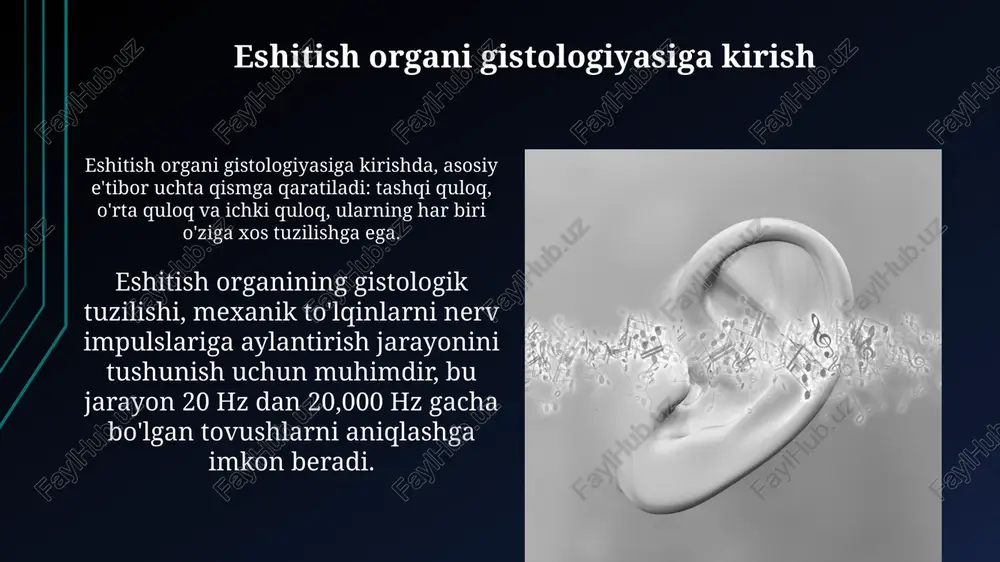 it media, 75% bolalarda uchraydi va antibiotiklar bilan davolanadi, lekin ba'zida jarrohlik drenajlash kerak bo'ladi. e'tiboringiz uchun rahmat image1.jpg image2.jpg image3.jpg image4.jpg image5.jpg image6.jpg image7.jpg image8.jpg image9.jpg image10.jpg