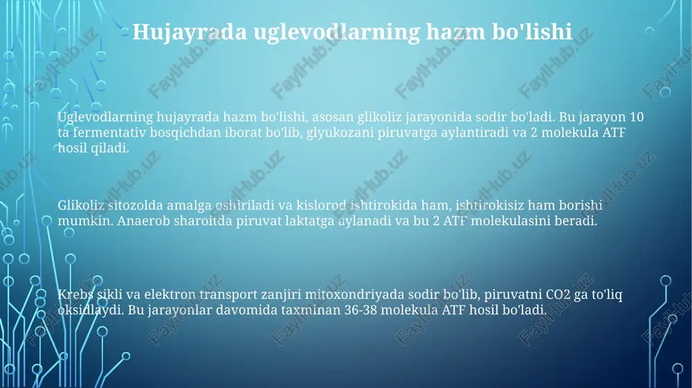 uglevodlarning hujayrada hazm bo'lishi - Page 3