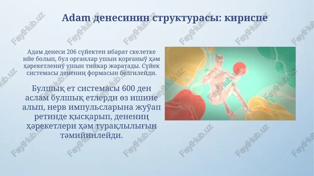 mlardiң motorikasin jaqsilao' ushin, biomexanikaliq analizler arqali qollaniladi. hәrekettiң biomexanikaliq modellerin dүzio' hәrekettiң biomexanikaliq modelin dүzio', bәrqulla әmel etio'shi kүshlerdiң 3d analizin өz ishine alip, norma hәm patologiya jag'dayindag'i kinematikani aniqlaydi. modelleo' stadiyasi, nyutonniң 2-zaңina tiykarlanip, segment massasi hәm inertsiya momentlerin esaplao' arqali bәrqulla dinamikaliq teңlemeni sheshio'di talap etedi. motor kөnlikpelerdi jetilistirio'de biomexanikaniң roli biomexanika optimal traektoriya hәm kүshlerdi aniqlao' arqali sportshilardiң texnikasin jaqsilao'da әhmiyetli rol oynaydi, nәtiyjeni 15-20% ke arttiradi. biomexanikaliq analizler jүklemeniң tәsirin bahalao'g'a, jarakatlardiң aldin alio'g'a (30-40% ke kemitio'), hәm reabilitatsiya protsesslerin tezlestirio'ge jәrdem beredi. juo'maq hәm perspektivalar juo'maq, keleshekte adam denesi strukturasin 3d modelleo' arqali motorikani aniq bahalao'g'a mүmkinshilik beredi, bul meditsinada 50% tez diagnoz qoyio'g'a jәrdem beredi. perspektiva, 2030 jilg'a shekem robot texnologiyasi menen birlestirilgen biomexanikaliq analizler, sportshilardiң jaraqat alio' xao'ipin 25% ke azaytip, nәtiyjeliligin arttiradi. nazariңiz үshіn raxmet image4.png image5.jpg image6.jpg image7.jpg image8.jpg image9.jpg image10.jpg image11.jpg image12.jpg image13.jpg image14.jpg image15.jpg image16.jpg image17.jpg image1.jpeg
