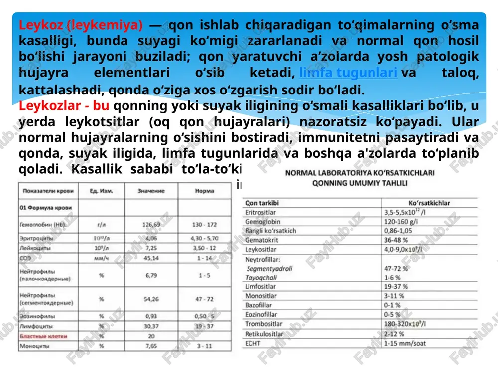 lsizlik. tez davolash kerak – og‘ir kechadi. 3. cll – surunkali limfotsitik leykoz ko‘pincha 50 yoshdan katta erkaklarda uchraydi. limfotsitlar ko‘payadi, lekin yaxshi ishlamaydi. belgilar: limfa tugunlarining shishishi, charchoq, infeksiyalar. ko‘p hollarda sekin rivojlanadi – uzoq vaqt davosiz kuzatiladi. 4. cml – surunkali miyeloid leykoz odatda 30–60 yosh oralig‘ida aniqlanadi. “philadelphia xromosomasi” (bcr-abl gen fuzioni) sababli yuzaga keladi. belgilar: taloq kattalashuvi, charchoq, holsizlik, kechasi terlash. davo: imatinib (gleevec) kabi tirozin kinaza ingibitorlari juda samarali. leykoz haqida xulosa (yakuniy umumlashtirish): leykoz (leukemiya) — bu qon va suyak iligining yomon sifatli (malign) o‘sma kasalligi bo‘lib, u yerda oq qon hujayralari (leykotsitlar) nazoratsiz va yetilmagan holatda ko‘payadi. patofiziologik asos: leykoz hujayralari (blastlar) suyak iligida haddan ortiq ko‘payib, normal eritrotsitlar, trombotsitlar va sog‘lom leykotsitlar ishlab chiqarilishini bostiradi. bu esa quyidagi klinik belgilarga olib keladi: kamqonlik (anemiya) — holsizlik, bosh aylanish. infeksiyalarga moyillik — immunitet pasayadi. qon ketishlar — burun qonashi, ko‘karishlar, uzoq vaqt qonash. …
