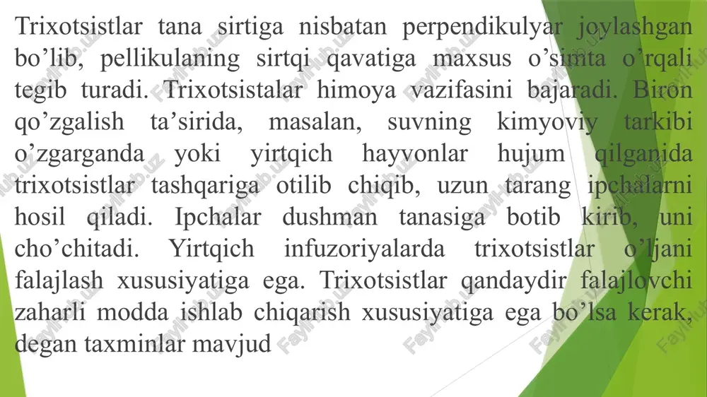 da shuʼlalanuvchi mayda jonzotlar” deb taʼriflagan. 1773 yilda o. f. myuller o‘zining kitobida chuchuk suv dinoflagellatlarning 2 turi haqida maʼlumot bergan. 1830 yilda g. erenberg, 1885 yil o. byuchlilar ham dinoflagellatlarni izohlab berishgan. e. varming (1890) va a. engler (1892) dinoflagellatlarni o‘simliklar olamiga kiritishgan. nemis botanigi a. pasher o‘zining suvo‘tlar sistemasida (1914) dinoflagellatlarni dinophyceae sinfiga kiritgan. 1950—1960-yillarda birinchi marta qazilma holatdagi dinoflagellatlarning sistemasi haqida maʼlumotlar paydo bo‘ldi. 1990-yillarda dinoflagellatlar elektron mikroskopda o‘rganildi. kipriklilar yoki infuzoriyalar - ciliophora –infusoria tipi infuzoriyalar eng murakkab tuzilgan bir hujayrali hayvonlardir. ularning harakatlanish organoidlari tana sirtida joylashgan juda ko’p kipriklardan iborat. ayrim infuzoriyalarda kipriklar hayotining maʼlum bir davrida hosil bo’ladi. hamma infuzoriyalarda differensiyalashgan, tuzilishi va funksiyasi bilan bir-biridan aniq farq qiladigan katta va kichik yadrolar bo’ladi. bitta katta yadrosi makronukleus vegetativ, bitta yoki bir nechta kichik yadrosi generativ yadro deyiladi. infizoriyalar makronukleusi har xil shaklda: yumaloq, loviyasimon (tufel’ka), taqasimon (suvoyka), zanjirsimon (karnaycha) bo’ladi. mikronukleus yumaloq …