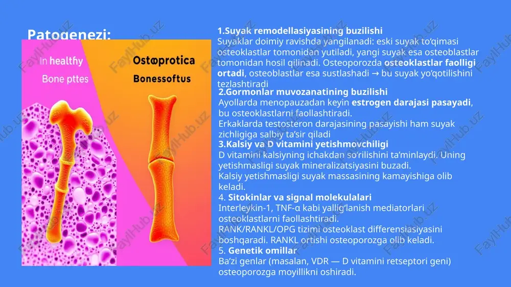 2.5 osteoporoz ≤ –2.5 + sinish bo‘lsa og‘ir osteoporoz davolash usullari: dorilar va boshqa terapiyalar: 1. dori-darmon terapiyasi 🔹 antirezorbtiv preparatlar (suyak yemirilishini to‘xtatadi): bisfosfonatlar (alendronat, risedronat, zoledronat) — osteoklast faolligini kamaytiradi. denosumab — rankl blokatori, suyak yemirilishini sekinlashtiradi. selektiv estrogen retseptor modulyatorlari (serm) — ayollarda estrogen ta’sirini taqlid qiladi. anabolik preparatlar (yangi suyak hosil bo‘lishini rag‘batlantiradi): teriparatid — paratireoid gormon analogi, osteoblastlarni faollashtiradi. romosozumab — suyak hosil bo‘lishini kuchaytiradi va yemirilishini kamaytiradi. 🔹 qo‘shimchalar: kaltsiy (1000–1200 mg/kun) va d vitamini (800–1000 iu/kun) — suyak mineralizatsiyasi uchun zarur profilaktikasi: kaltsiyga boy ovqatlar sut mahsulotlari, yashil bargli sabzavotlar va kaltsiy bilan boyitilgan mahsulotlarni iste'mol qiling. d vitamini quyosh nurida bo'lish va d vitamini qo'shimchalarini qabul qilish orqali suyak sog'lig'ini yaxshilang. jismoniy faollik og'irliklar bilan mashq qilish, yurish va yugurish kabi mashg'ulotlar suyaklarni mustahkamlaydi. zararli odatlardan voz kechish chekish va spirtli ichimliklarni iste'mol qilish suyaklarni zaiflashtiradi. ulardan voz keching. osteoporoz bo‘yicha test …