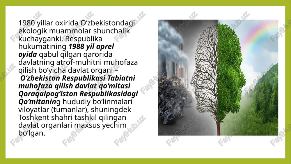 o'zbekistonda ekologik muammolar - Page 3