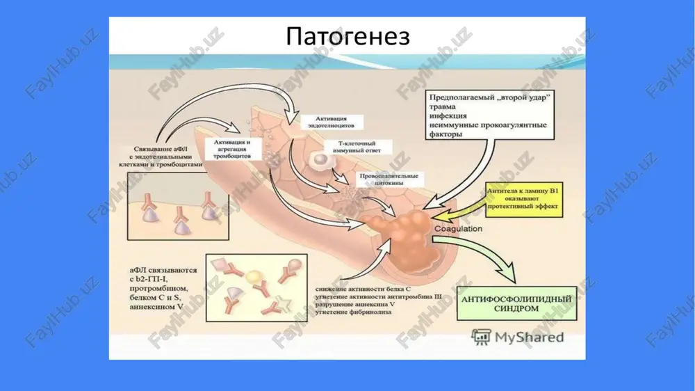 maferez (+/- rituksimab). 4. qo‘shimcha → hydroxychloroquine (agar sle bo‘lsa), statin, sog‘lom turmush tarzi, kontraseptivlardan saqlanish. e`tiboringiz uchun rahmat! image1.png image2.png image3.png image4.png