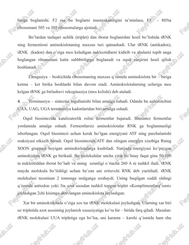 rish mumkin va boshqacha qilib aytganda 20 xil aminokislota uchun hujayralardan 20 tadan kam bo’lmagan trnk molekulasi mavjuddir. undan ham ko’p, chunki ayrimlari 2-3 trnk yordamida tashiladi. oqsillar ribasomada sintezlanadi. ular bilan keyinrok tanishamiz. ribosoma 2 ta subbirlikdan iborat. kichigida irnk joylashgan. uning tarkibi asosan rnk dan iborat. yirik subbirlikda ribosoma granulyar donador sitoplazmatik turga yopishgan xolda uchraydi va u ham 2 q`ismidan iborat. ularning birida irnk ning kodi tripilyar xolida karama – karshi tomondagi trnk malum molekulasiga tugri kelishi kerak. biror oqsil xususiyati tugrisidagi axborot tugashi bilan ya’ni oqsil molekulasi shakllanib tayor bo’lgach, irnk da ma’nosiz o’zgarish bo’lishi yoki trnk molekulasiga tugri kelmaydigan azot asosi birlashishi mumkin. peptid zanjiri yirik subbirlikdan chiqadi va yoriladi, buning natijasida yangi oqsil molekulasi sintezlanadi, bu prosess irnk molekulasi shu polisomadagi bir qancha ribosomalardan utadi va uning natijasida uningxar birida sintezlanish prosessi boradi. polisomadagi ribosomalar miqdoriga ko’ra shuncha miqdor oqsil molekulasi sintezlanadi. bu esa …