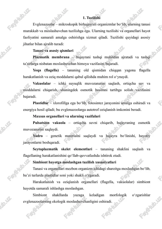 vsiflanadi: flagella orqali suzish – evgenazoolar flagellasi yordamida suvda turli yo‘nalishlarda harakatlanadi. flagellaning siljishi tananing old qismidagi yo‘nalishni belgilaydi, shu bilan birga oziq moddalarni sezish va ularga intilish jarayonida ham muhimdir. har bir flagella siljishi hujayra uchun “propulsiya” vazifasini bajaradi. spiral va siklomotors harakat – ba’zi turlarda evglenazoolarning tanasi spiral shaklida aylana aylana harakatlanadi. bu harakat turi suv oqimi va harakatlanish tezligini oshirishga xizmat qiladi. shu tarzda ular oziq manbalarini izlab topishda ham samarali bo‘lishadi. harakatni tartibga solish – evgenazoolar tanasidagi sezgir organellalar orqali yorug‘lik, oziq moddalarning konsentratsiyasi va suvdagi kimyoviy muhitni sezadi. bu organellalar flagella harakatini boshqaradi, shuning natijasida organizm eng qulay yashash va oziqlanish sharoitini topadi. 2. oziqlanish va hayot tarzi evglenazoolar o‘zining hayot tarzida moslashuvchan va ko‘p qirrali xususiyatlarga ega. ular nafaqat harakatlanadi, balki ozuqa olish usullarini ham muhitga moslashtiradi: mixotrof oziqlanish – evgenazoolar ham fotosintez orqali ozuqa hosil qila oladi (autotrof oziqlanish), ham organik moddalarni so‘rib …