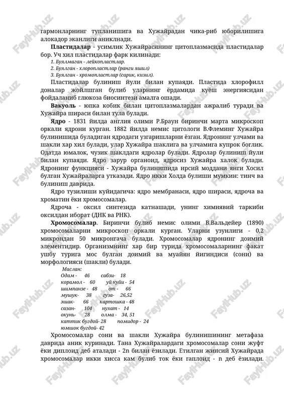 imiyaviy tarkibi rnk va oksildan iborat. ribosomalarda oksil sintezlanishi yuz beradi. ribosoma - oksil va rnk dan iborat, 120-150 a - diametrga ega. mitoxondriyalar - soni xar xil buladi. ular yoruglik mikroskopida yaxshi kurinadi. yosh xujayralarda mitoxondriyalar soni kuprok. mitoxondriyalar kuyidagicha tuzilgan: tashki va ichki membranadan, matriks va kristlardan iborat. mitoxondriyalar bulinish yuli bilan xosil buladi. mitoxondriyalarda energiya yigiladi, shuning uchun ularni xujayraning kuch (ya'ni energetik stantsiyalari) man'basi deb nom berildi. mitoxondriyalar atf ishlab chikaradi. golji - apparati. bu organoidni birinchi marta golji degan olim topgan (1898) va ular usimlik va xayvon xujayralarida buladi. bu organoid granuladan, membranalardan va vakuolalardan iborat. golji apparatining funktsiyasi xali batamom urganilmagan, ammo u xujayraning uzida ishlanib chikadigan turli moddalarning, masalan, garmonlarning tuplanishiga va xujayradan chika-rib yuborilishiga alokador ekanligi aniklnadi. plastidalar - usimlik xujayrasining tsitoplazmasida plastidalar bor. uch xil plastidalar fark kilinadi: 1. buyalmagan - leykoplastlar. 2. buyalgan - xloroplastlar (rangi yashil) 3. buyalgan - …
