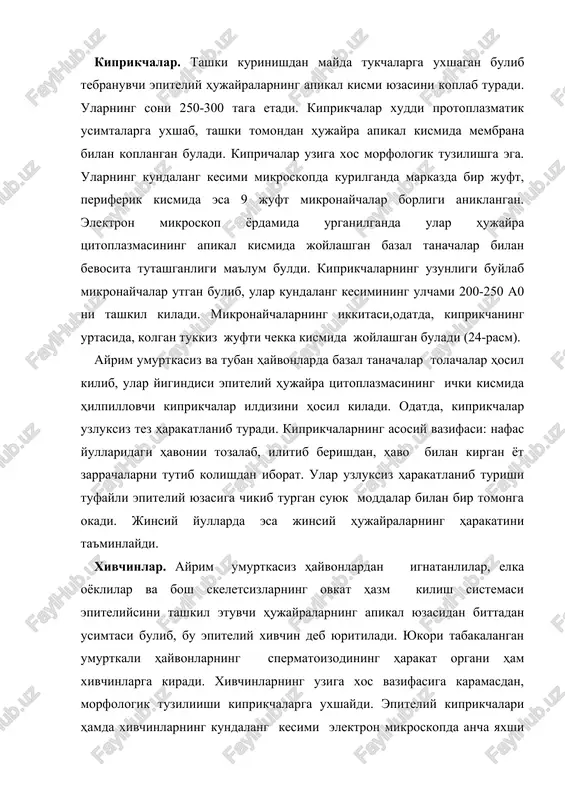 eliy kiprikchalari hamda xivchinlarning kundalang kesimi elektron mikroskopda ancha yaxshi urganilgan. natijada ular tarkibida adenozintrifosfataza fermenti kup bulishi aniklangan, ma'lumki, bu ferment umurtkali hayvonlarning muskul tolalarida kup uchraydi va ularning kiskarishini ta'minlaydi. albatta, spermatozoid hujayralarning harakati fakat adenozintrifosfataza fermentiga boglik bulmasdan, balki boshka kompleks ta'siriga ham boglik. masalan,sperma suyukligi takibidagi moddalar shunday ta'sir kursatadi. xivchinlar kaysi hayvonda, kaerida bulmasin ular kiprikchalar bilan bir xil tuzilgan buladi. tonofibrillalar epiteliy hujayrasi tsitoplazmasining tabakalanishi jarayonida hosil buladigan uziga xos element. xar bir tonofibrillaning diametri 60-150 ao ga teng bulib, juda mayda keratindan tashkil topgan tonofilament, ya'ni protonofibrilla tolachalaridan iborat. xozirgi zamon tekshirishlari shuni kursatadiki, tonofibrillalar yonma-yon turgan hujayralar membranasiga tutashib turadi, lekin bir hujayradan ikkinchi bir hujayra tsitoplazmasiga utmaydi. u epiteliy hujayrasi va tukimani mustaxkamlashda aktiv ishtirok etadi. miofibrillalar-kiskaruvchi apparat asosan muskul tukimasi xarakatini ta'minlaydi. fibrillalar kiskarish-bushashish hususiyatiga ega. ularning morfologik tuzilishi ham bajaradigan vazifalariga moslashgan. muskul tolachalarning kiskaruvchi apparatiga asosan miofibrillalar kiradi. …
