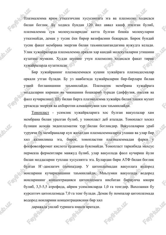 ga teng bulgan teshiklar mavjud. bu teshiklar atrofidagi tashki va ichki membranalar bir-birlari bilan kushilib ketgan buladi. yadro membranasida bunday teshiklarning mavjudligi tsitoplazma bilan yadro urtasida moddalarni kuchirilishiga imkon yaratadi. yadroga dnk va rnk ning utmishdoshlari, gistonlar, ribosomal oksillar utsa, yadrodan tsitoplazmaga m-rnk, t-rnk, ribosoma bulakchalari utadi. yadro membranasidagi teshikchalar soni yuksak usimliklar xujayrasida 3000 gacha borishi mumkin. yadro membranasi endoplazmatik tur membranasi bilan bir butun uzliksiz tizimni tashkil kiladi. shunday kilib yadro oldi bushlik endoplazmatik turning ichki bushligi bilan boglangandir. bu uz navbatida yadro membranalari endoplazmatik tur membranalaridan xosil bulishini kursatadi. endomembranalar kontseptsiyasi. bu kontseptsiya xx-asrning 70-yillarda ishlab chikilgan bulib, xujayraning ma'lum membranalari funktsional jixatdan bir muncha rivojlangan, uzliksiz endomembranalar tizimiga birlashgan deb karaladi. bu tizim komponentlariga endoplazmatik tur, yadro, golji apparati xamda plazmalemma va tonoplastlar kiradi. bu tizimga xloroplast va mitoxondriylarning tashki membranalari xam kushiladi. bu endomembraia kontsettsiyasiga kura xosil bulayotgan xar kanday yangi membrana asosan endoplazmatik tur …