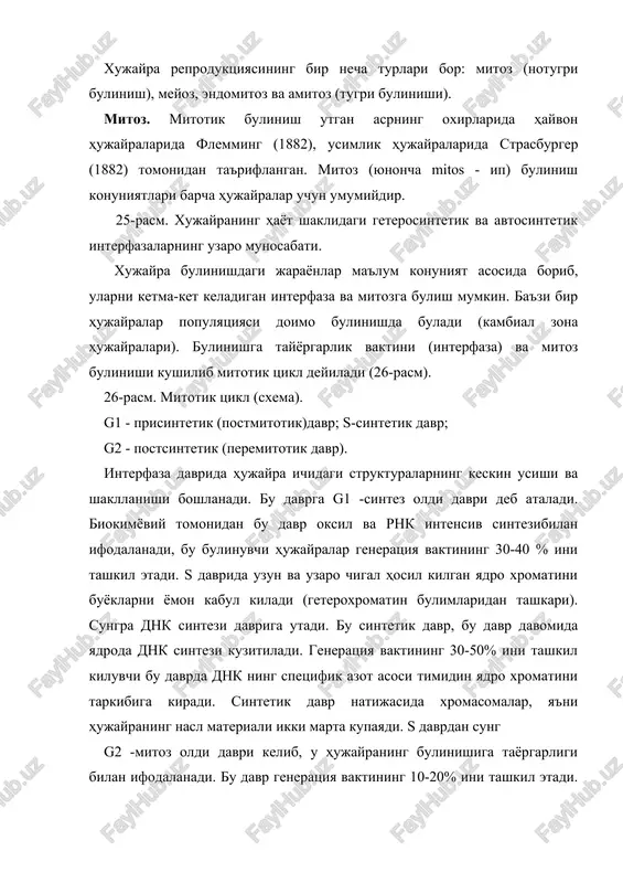 uzida 4 faza fark kilinadi (27-rasm). prfazada xromosomalarning kondensatsiya bulishi va mitotik apparatning shakllanishi kuzatiladi. xromasomalar kattalashadi va yugonlashadi. bu hodisa profaza davrida hosil bulgan xromotodlarning biri ikkinchisi atrofida aylanmay, balki har biri uzicha spiralhosil kiladi. shuning uchun ular mitozning keyingi fazalarida engil ajraladi. profazaning oxirida xromasomalar juft xromotidlardan tashkil topadi. xromasomalarning kattalashishi va yugonlashishi bilan birga xromatidlar tsentromeralar deb ataluvchi ma'lum bulimlari bilan birlashadi. profaza oxirida xromosomalar bulinayotgan yadroning ekvatorial yuzasida joylashib, bulinish dukchasini hosil kila boshlaydi (27-rasm). duk ikki tipdagi ipchalardan-kutblarni birlashtirib turuvchi markaziy va kutblarni xromasoma tsentromerlari bilan birlashtirib turuvchi xromosom ipchalaridan tashkil topgan. elektron mikroskopiya mitotik apparat ipchalari zich devorli naychalardan tashkil topganligini kursatadi. ularning diametri 20 nm, devor kalinligi 4-5 nm. xayvonlarda tsenriolalar orasidagi dukcha tsentriolalar yadroning karama-karshi kutblariga karab siljiydi. bu vaktda dukcha kattalashib, yadro kobigining erishi xarakterlidir. elektron mikroskopik kuzatishlar mitoz davrida yadro kobigining bulakchalari yukolmay, balki tsitoplazmatik tur membranalarga aylanishini kursatdi. mitoz …