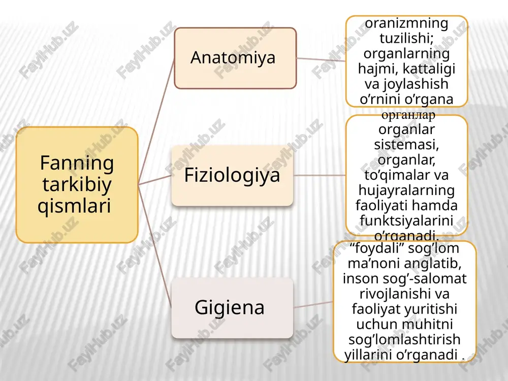 arobar ortadi. tana vaznini o’zgarishi yangi tug’ilgan qiz bolalarning o’rtacha vazni 3,5 kg, o’g’il bolalarniki esa 3,4 kg., bo’ladi. bolaning vazni tug’ilganidan keyingi birinchi oyda 600 g, ikkinchi oyda 800 g ortadi. bir yashar bolaning vazni tug’ilganidagi vaznidan uch marta ortib 9-10 kg ga etadi. 2 yoshda bolaning vazniga 2,5 — 3,5 kg qo’shiladi. 4, 5, 6 yoshlarda bola vazniga xar yili 1,5 — 2 kg qo’shilib boradi. 7 yoshdan boshlab uning vazni tez ortib boradi. 10 yoshgacha o’g’il bolalar bilan qiz bolalar tana vazni bir xilda o’zgaradi. jinsiy etilish boshlanishi bilan qizlarning vazni 4-5 kg dan 14-15 yoshda xar yili 5-8 kg ortadi. o’g’il bolalarda esa 13-14 yoshdan vazni 7-8 kg ortadi. 15 yoshdan boshlab ularning vazni qizlarning vaznidan ortib ketadi. geteroxroniya (getero... va yun. chronos — vaqt) — hayvonlar va oʻsimliklar naslida organlar shakllana boshlashi vaqti va tezligining ajdodlariga nisbatan oʻzgarishi. g. organ shakllanishining ancha erta boshlanishi va …