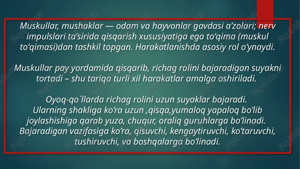 skelet mushaklarining tuzilishi va funksiyalari - Page 3