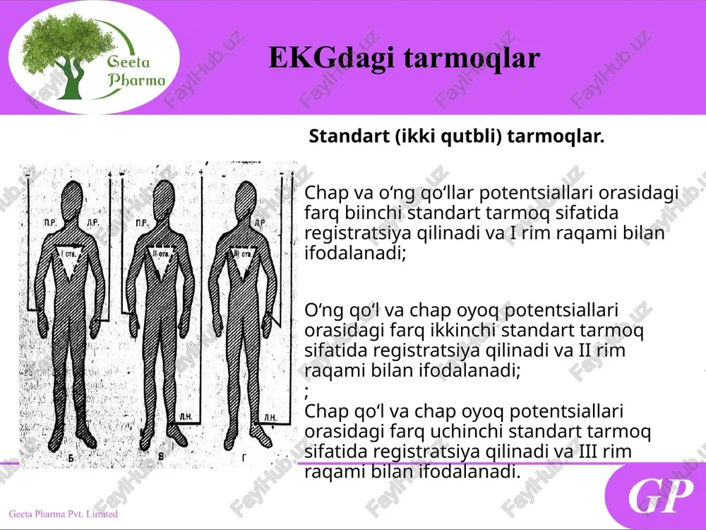 g‘alishini ko‘rsatadi. bu qrs kompleksning ikkinchi va keyingi manfiy tishchalari. s tishcha doim manfiy bo‘ladi. u r tishchaning to‘g‘ridan-to‘g‘ri davomi hisoblanadi. s tishchaning amplitudasi 0-12 mm. kengligi esa 0-0,08 s. t tishcha t tishcha. bu tishcha yurak qorinchalarining repolyarizatsiyasini ko‘rsatadi. u qrs kompleksdan keyin ro‘yxatga olinadi. t tishchaning amplitudasi normada 5-18 mm, kengligi 0,1-0,25s u tishcha bu qrst kompleksdan keyin keluvchi, t-p intervalda joylashgan tishchadir. uning paydo bo‘lish mexanizmi aniq emas. uning hosil bo‘lishi yurak mushaklarining to‘liq bo‘shashishi bilan bog‘liq degan tahmin mavjud. ko‘p hollarda u tishcha bradikardiya fonida ko‘rinadi. uning fazasi t tishcha fazasi bilan bir hil bo‘ladi, ya’ni, agar t tishcha 38 musbat bo‘lsa, u tishcha ham musbat bo‘ladi, va aksincha. yurak elektr o‘qi chap qorincha gipertrofiyasi yuqori amplituda r v v5-v6 chuqur s v v1-v2 r4 7 mm)r tishchaning baland ko‘tarilishi v5 - v6 da s tishchaning chuqurlashishi v5 yoki v6da r=s ga teng bo‘lishi mi umumiy …