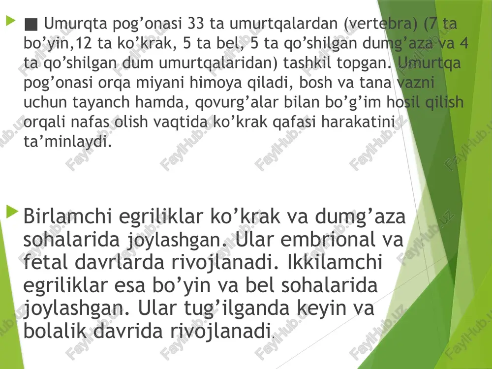 umurtqa pog’onasi anatomik tuzulishi va funksiyasi - Page 3