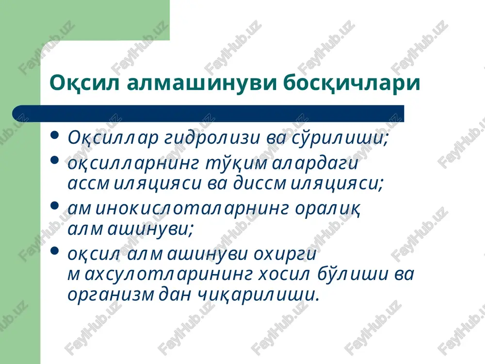 oqsil almashinuvi - Page 3