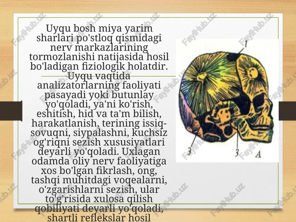 soniya agripiniya) letariya oyparast kasalligida odam tungi uyqu vaqtida kechasi o'rnidan turib uydagi buyumlarni yiglshtiradi, o'rnini o'zgartiradi, derazani ochadi, hovliga chiqadi, ba'zilari esa devorga chiqadi, hatto ko'chaga chiqib ketib, yana qaytib kelib o'rniga yotadi va uyquni davom ettiradi. ertasi kuni hech narsani eslay olmaydi. buning sababi odam nerv sistemasining ola charchashi, hayajonlanishi, qo'rqish, oglr kasalliklar natijasida bosh miya nerv hujayraiarida qo'zg'alish va tormozlanish jarayonlari muvdzanatining buzilishidir. bunday odamlar, ayniqsa bolalar yolglz uxlamasligi kerak, ya'ni ulaming yonida yaqin kishilari bolgani ma'qul. tungi vaqtda xonada yoruglik bolmasligi kerak. bu kasallikka uchragan odamlar asab-ruhiy kasalliklari shifokori maslahati asosida davolanadilar. letargiya uyqusi — bu kasallik holati bo lib, odamda to'sat-dan yuzaga keladi. odam chuqur uyquga ketadi. uning nafas olishi va yurak urishi sekinlashib, hatto sezilmaydigan darajada boladi. shuning uchun bunday odamni ba'zan o'lgan deb ham o'ylaganlar: chunki bunday uyquga ketgan odam hech narsani sezmaydi; (chaqirganni, qimirlatganni, og'riqni). chuqur tek-shirish natijasidagina uning tirikligi aniqlanadi, letargiya …