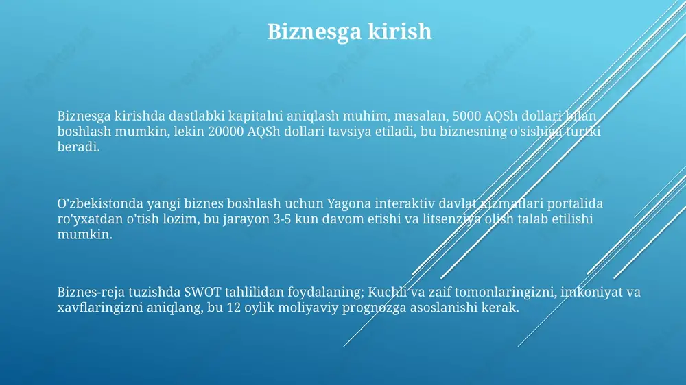 biznesga kirish - Page 3