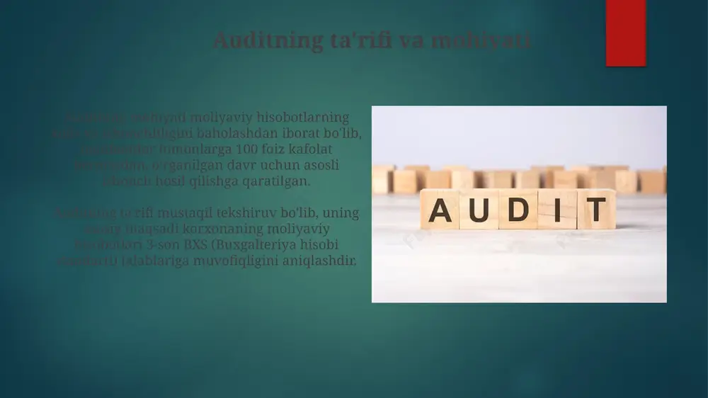 audit konsepsiyasi - Page 3