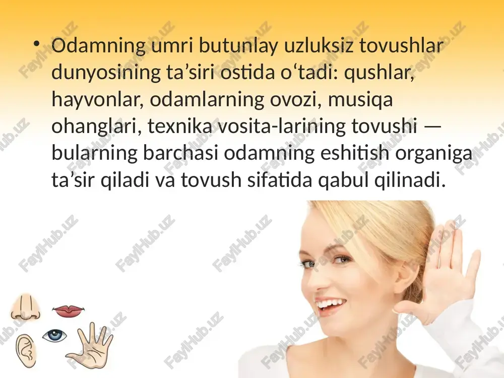 ovushni qabul qiladigan sezuvchi tolalar yaxshi rivojlanmasa yoki kasallansa, odam mazkur tovushni aniqlash qobiliyatini yo‘qotadi. bolalarni yoshlikdan har xil musiqa ohanglarini tinglash va chalishga o‘rgatish ana shu sezuvchi tolalar yaxshi rivojlanishiga imkon beradi. retseptorlarning qo‘zg‘alishi eshitish nervi tolasi orqali miya ko‘prigi, o‘rta miyada joylashgan po‘stloqosti eshitish markaziga, undan esa bosh miya yarimsharlari po‘stlog‘ining chakka qismida joylashgan oliy eshitish markaziga borib, uni qo‘zg‘atadi. bu markazda joylashgan nerv hujayralarida tovush ta’siri analiz va sintez qilinib, uning mazmuni aniqlanadi. odam sekundiga 16—20 ming marta tezlikda tebranuvchi tovush to‘lqinlarini qabul qilish imkoniga ega. yuksak rivojlangan hayvonlarda, ayniqsa, itlarda tovush to‘lqinlarini qabul qilish xususiyati, odamga nisbatan ancha yaxshi rivojlangan bo‘lib, ular odam eshitmaydigan kuchsiz tovushlarni ham eshita oladi. shuni ham aytish kerakki, yoshlarning kuchsiz tovushlarni eshita olish qobiliyati yaxshi bo‘lib, yosh kattalashgan sari bu qobiliyat pasaya boradi. agar odamga kuchli tovush har kuni uzoq muddat davomida ta’sir qilib tursa, u shovqinga moslashib qoladi. shuning uchun …