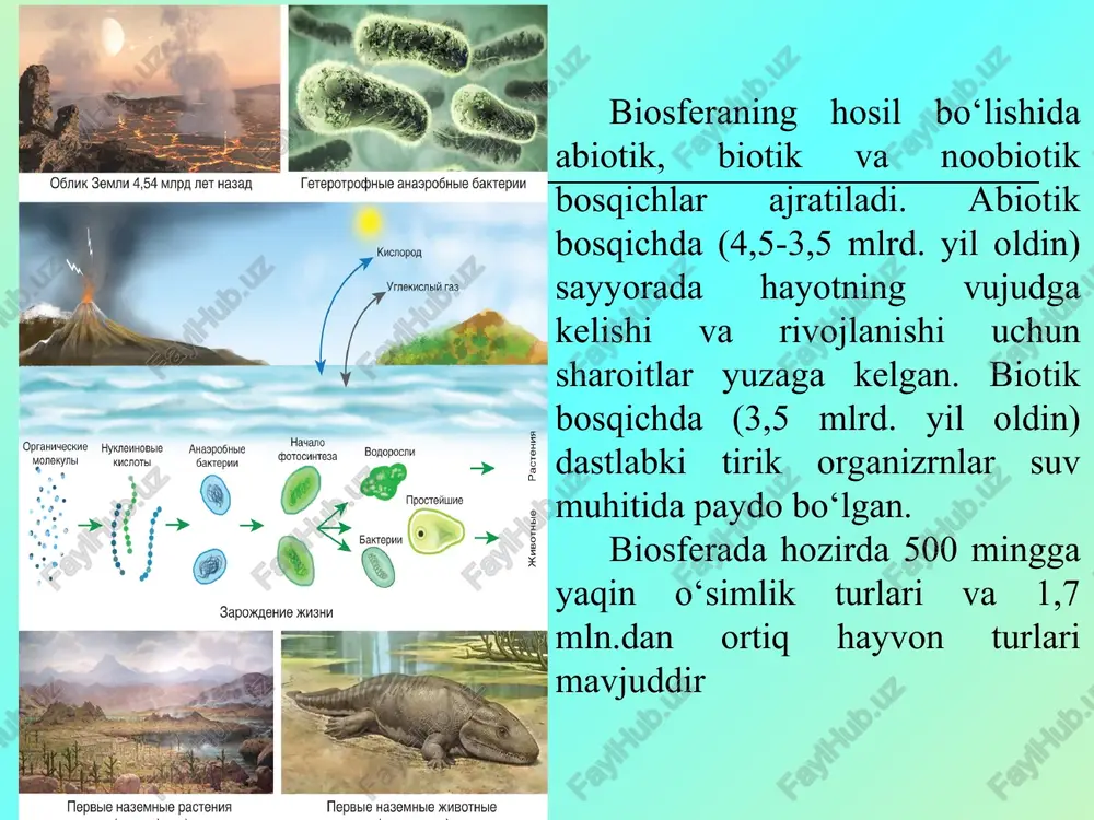 noosfera tushunchasi va atrof muhit tushunchasi - Page 3