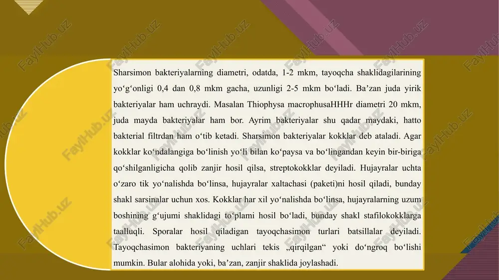 gifalardan iborat. koʻpayishi. vegetativ va reproduktiv (jinssiz va jinsiy) koʻpayadi. vegetativ koʻpayish mitseliy ipchalarining boʻlinishi yoki sklerotsiyalar bilan amalga oshadi. zamburugʻlar tuproqda bakteriyalar, aktinomitsetlar va mikroorganizmlar bilan birgalikda organik moddalarni parchalab, sanitarlik vazifasini bajaradi va tabiatda moddalar aylanishida ishtirok etadi. shu bilan birga tuproqda usimlik kasalliklarini qoʻzgʻatuvchi zamburugʻlar toʻplanib ham qoladi. monokultura natijasida oʻsimliklarning maʼlum turlarigagina ixtisoslashgan zamburugʻlar yigʻiladi. aspergilius, penicillium, mucor, trichothecium, rhizopus va boshqa turkumga mansub baʼzi tur zamburugʻlar urugʻlik materialning mogʻorlashiga sabab boʻlib, ularning unuvchanligini pasaytiradi. koʻpgina mogʻor zamburugʻlar xom ashyoni saqlash davrida paxta tolasi sifatini buzadi. baʼzi turlari isteʼmol qilinadi (jumladan, qoʻziqorin). zamburugʻlarning fermentativ, antibiotik, toksik va parazitlik xususiyatlaridan veterinariyada hamda oʻsimliklarni zararkunanda va kasalliklardan himoya qilishda, shuningdek, yengil sanoatda, oziqovqat va farmatsevtika sanoatida foydalaniladi[ zamburug’lar 11 meva tana mitseliy gifa zamburug’lar 12 e’tiboringiz uchun rahmat! image1.jpeg image2.jpeg image3.jpeg image4.png image5.jpeg image6.jpeg image7.jpeg /docprops/thumbnail.jpeg