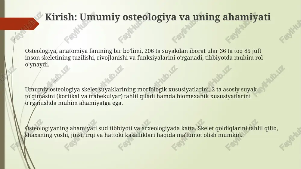 shi uchta asosiy bosqichdan o'tadi: birinchi bosqich - membrana ossifikatsiyasi, ikkinchisi - xaftaga asoslangan ossifikatsiya, uchinchi bosqich - suyakning qayta shakllanishi va o'sishi. homiladorlikning 6-haftasida xaftaga tushadigan skelet shakllana boshlaydi, keyin esa endokondral ossifikatsiya jarayoni orqali suyakka aylanadi. bu jarayon ko'p yillar davomida davom etadi. umurtqa pog'onasi: tuzilishi va vazifalari umurtqa pog'onasi 33-34 ta umurtqadan iborat bo'lib, ular orqa miyani himoya qiladi va tana og'irligini taqsimlashda muhim rol o'ynaydi, harakatlanishni ta'minlaydi. umurtqa pog'onasining asosiy vazifalaridan biri - bosh suyagi, qovurg'alar va tos suyagini bog'lab, tana o'qini hosil qilish hamda ichki organlarni himoya qilishdir. umurtqa pog'onasi beshta bo'limga bo'linadi: bo'yin (7 ta), ko'krak (12 ta), bel (5 ta), dumg'aza (5 ta) va dum (4-5 ta) umurtqalari, har biri o'ziga xos vazifaga ega. bo'yin umurtqalari: tuzilishi va o'ziga xos xususiyatlari ikkinchi bo'yin umurtqasi (c2) - axis bo'lib, tishsimon o'simtaga ega bo'lib, atlas (c1) bilan birgalikda boshning aylanish harakatini amalga oshiradi. bo'yin umurtqalari, …