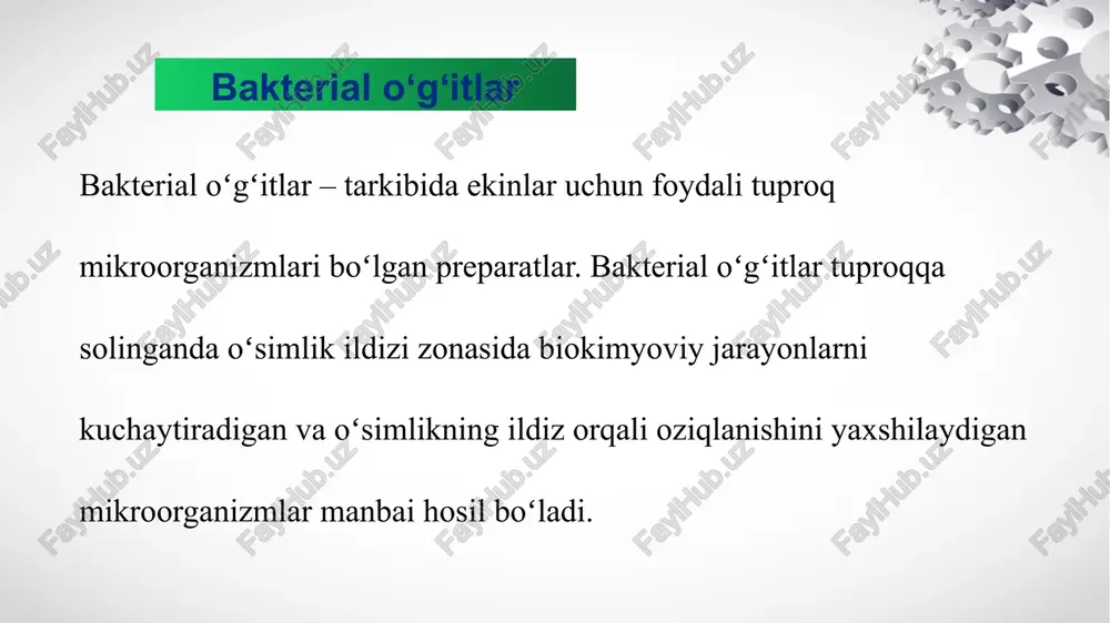 bakterial o’g’itlash.fosfobakterin, azotobekterin, nitrobakterin - Page 3