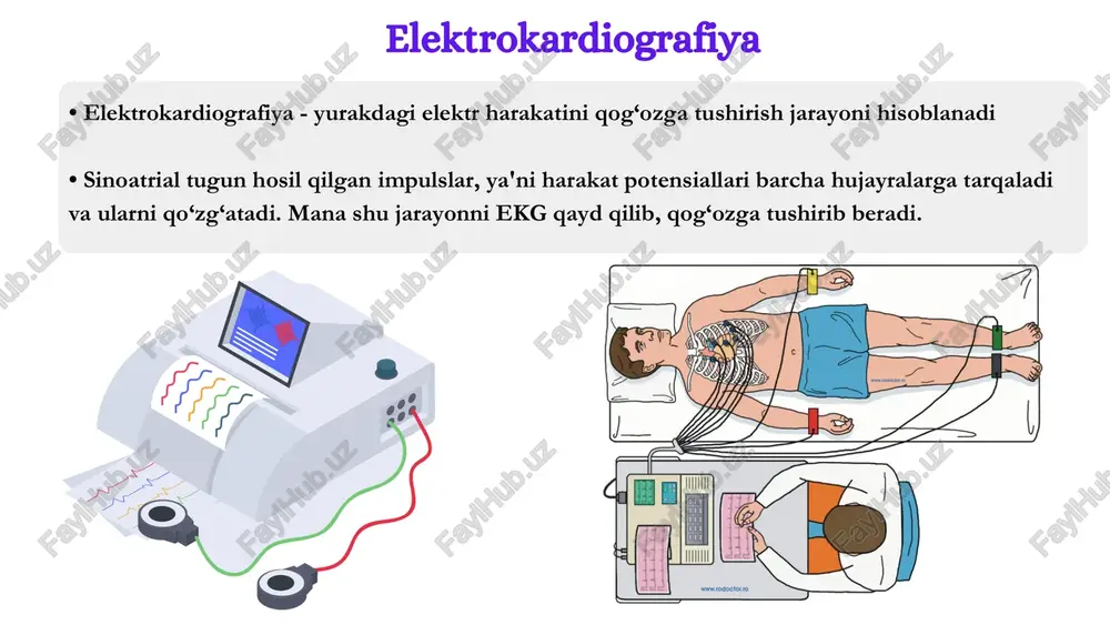 online ekg darslari - Page 3