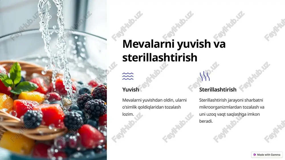 rezavor va danakli mevalardan sharbat olish texnologiyasi - Page 3