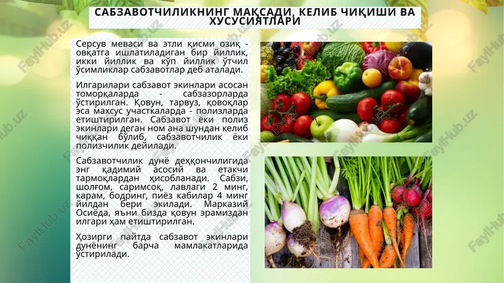 ya (17-21 mln. t), italiya (12-15 mln. t.), rossiya (11,5-14,2 mln. t.), yaponiya (11-13 mln. t.), eron, meksika, ispaniya, frantsiya, indoneziya (6-11 mln. t.) va h.k. o'zbekiston va jahon sabzavotchiligi oldidagi vazifalar birinchidan: sabzavot ekinlari hosildorligini oshirish va tannarxini arzonlashtirish ikkinchidan: aholini sabzavot bilan ta'minlashda mavsumiylikni bartaraf etish uchinchidan: sabzavotlar turini kengaytirish va sifatini yaxshilash sabzavot ekinlari va ularning guruhlanishi sabzavot ekinlari 14 ta botanik oilaga mansub 80 ga yaqin turni o'z ichiga oladi. shundan 40 ga yaqin turi o'zbekistonda ekiladi. ular morfologik, biologik va xo'jalik belgilari bo'yicha keskin farqlanadi. o'rganishni osonlashtirish uchun sabzavot ekinlari muayyan belgilarning o'xshashligiga qarab ma'lum guruhlarga birlashtirilgan. botanik belgilariga ko'ra asosiy sabzavot ekinlari quyidagi oilalarga mansubdir karamdoshlar yoki krestguldoshlar (brassicaceae) - oddiy karam, savoy, bryussel, kolrabi karami, gulkaram, xitoy, pekin (salatbop) karami, kress-salat, xantal (salat gorchitsa), bryukva, turp, sholg'om, rediska, xren, qatron. soyabonguldoshlar yoki seldereysimonlar (apiaceae) - sabzi, petrushka, selderey, shivit, kashnich, pasternak. qovoqdoshlar (cucurbitaceae) …