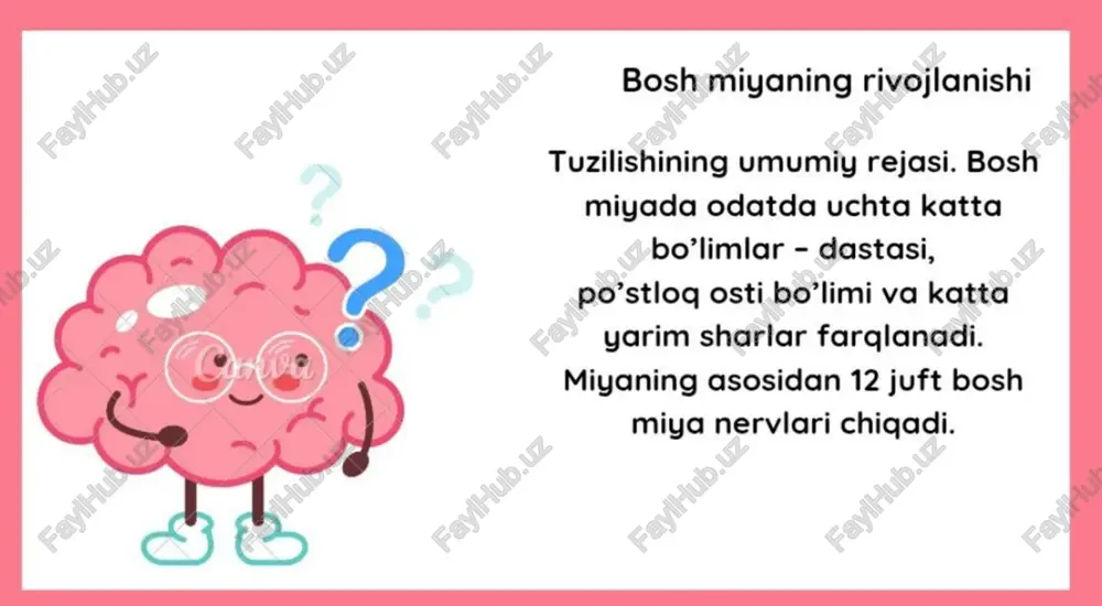 bosh miyyaning rivojlanishi . - Page 3