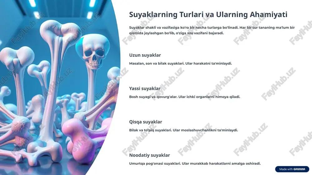et va mushaklar butun tana salomatligi uchun ajralmasdir. ularni sog'lom saqlash uchun muntazam g'amxo'rlik qilish zarur. sog'lom suyaklar va kuchli mushaklar faol va to'laqonli hayot kechirishning kalitidir. ularga g'amxo'rlik qiling! to'g'ri ovqatlanish kaltsiy, d vitamini va oqsilga boy mahsulotlar iste'mol qiling. muntazam jismoniy faoliyat har kuni harakatlaning, mushaklarni va suyaklarni mustahkamlang. xavfsizlik choralari jarohatlardan saqlanish uchun ehtiyotkor bo'ling. 10 image-1002-1.png image-1002-2.png image-1-1.png image-1003-1.png image-1003-2.png image-2-1.png image-1004-1.png image-1004-2.png image-3-1.png image-3-2.png image-3-3.svg image-3-4.png image-3-5.svg image-3-6.png image-3-7.svg image-3-8.png image-3-9.svg image-1005-1.png image-1005-2.png image-4-1.png image-4-2.png image-4-3.svg image-4-4.png image-4-5.svg image-4-6.png image-4-7.svg image-1006-1.png image-1006-2.png image-5-1.png image-5-2.png image-1007-1.png image-1007-2.png image-6-1.png image-6-2.png image-1008-1.png image-1008-2.png image-7-1.png image-1009-1.png image-1009-2.png image-8-1.png image-8-10.png image-8-11.png image-8-12.png image-8-13.svg image-8-14.png image-8-15.png image-8-16.png image-8-17.svg image-8-2.png image-8-3.png image-8-4.png image-8-5.svg image-8-6.png image-8-7.png image-8-8.png image-8-9.svg image-1010-1.png image-1010-2.png image-9-1.png image-9-2.png image-9-3.png image-9-4.png image-9-5.png image-1011-1.png image-1011-2.png image-10-1.png