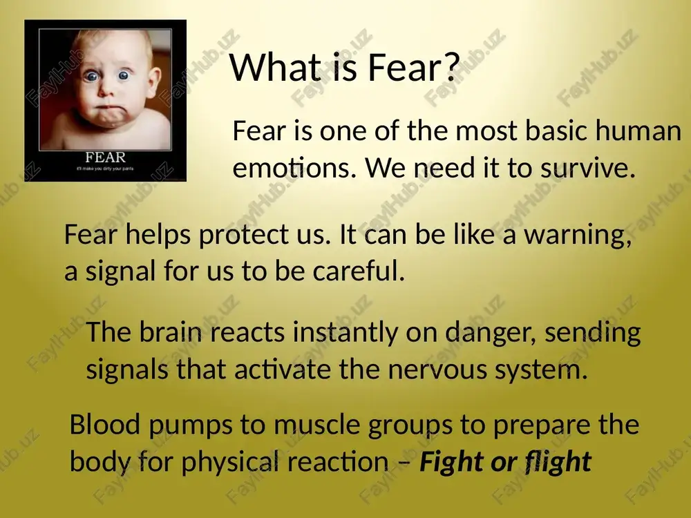 fears & phobias - Page 3