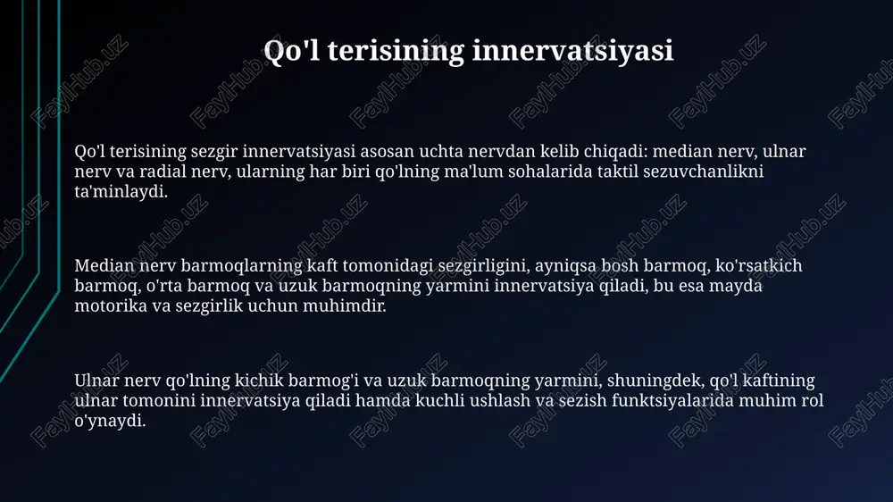 qo‘l va oyoq terisini innervatsiyasi - Page 3