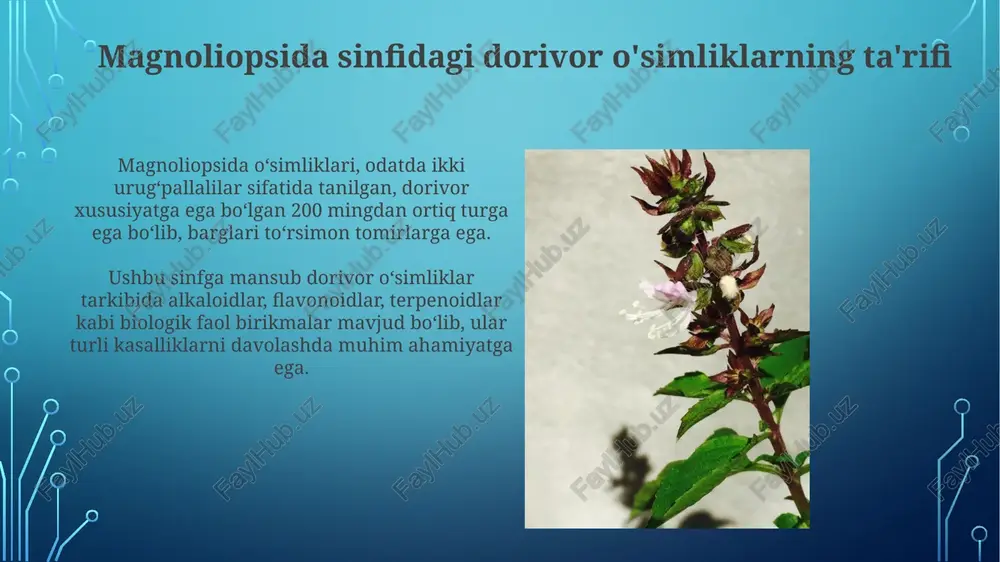 i. farmakokinetikani yaxshilash va maqsadli yetkazib berish uchun magnoliopsida o'simliklaridan olingan birikmalar asosida nanomikroskopik dori vositalarini ishlab chiqish bo'yicha 20 dan ortiq tadqiqot olib borilmoqda. muhofaza qilish choralari magnoliopsida sinfiga mansub dorivor o'simliklarni muhofaza qilish uchun, 30% maydonlarni qo'riqlanadigan hududlar sifatida belgilash, brakonerlikka qarshi qat'iy qonunlar joriy etish kerak. yo'qolib borayotgan magnoliopsida turlarining urug'larini saqlash uchun gen banklarini tashkil etish, har bir tur uchun kamida 5000 ta urug' namunalarini yig'ish zarur. muhim vakillarning ro'yxati va tavsifi * romashka dorivor* (matricaria chamomilla) - sezgir terini tinchlantiradigan bisabolol kabi 120 dan ortiq kimyoviy birikmalarga ega, og'iz chayqash uchun antiseptikdir. *qizilgul* (rosa spp.) - s vitaminiga boy, terini yoshartiruvchi xususiyatga ega, shuningdek, antioksidant flavonoidlar va tarkibida taxminan 0,02% efir moylari bor. xulosa magnoliopsida sinfidagi dorivor o'simliklar 5000 dan ortiq turga ega bo'lib, ularning kimyoviy tarkibi va farmakologik xususiyatlari keng qamrovli o'rganilgan. an'anaviy tibbiyotda magnoliopsida o'simliklaridan tayyorlangan preparatlar asrlar davomida 100 dan ortiq kasalliklarni …