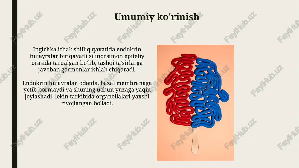 sh uchun muhimdir; u 10-9 metrdan 10-10 metrgacha bo'lgan obektlarni aniqlash imkonini beradi. e'tiboringiz uchun rahmat image2.jpg image3.jpg image4.jpg image5.jpg image6.jpg image7.jpg image8.jpg image9.jpg image10.jpg