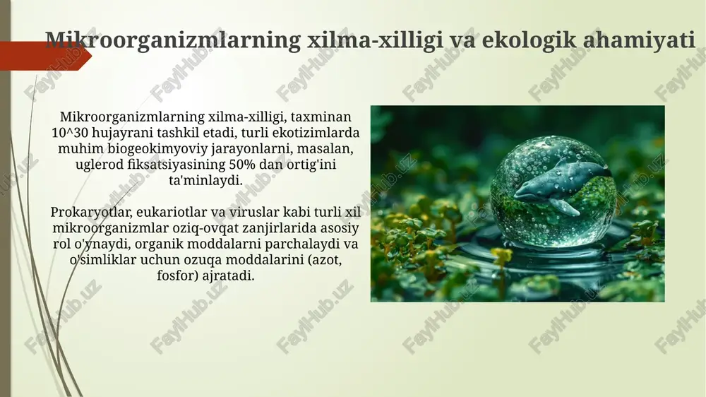 mikroorganizmlarning ekologik muvozanati - Page 3
