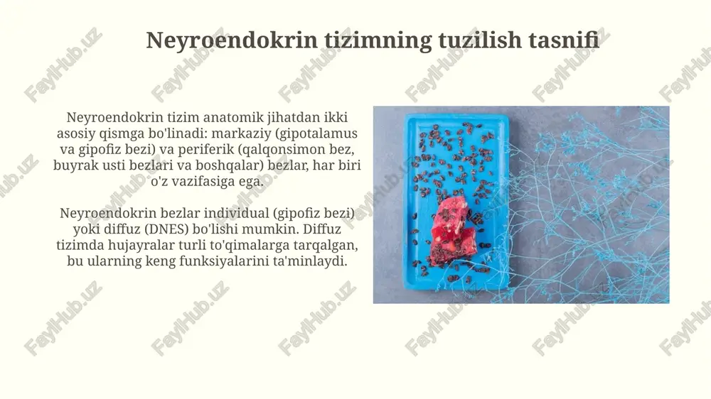 us bog'lovchi globulinlarga bog'lanadi, bu esa ularning yarim yemirilish davrini uzaytiradi. gormonlarning metabolizmi asosan jigarda va buyraklarda sodir bo'ladi, bu erda ular fermentlar ta'sirida inaktivatsiya qilinadi, masalan, steroid gormonlar glukuronidatsiya yoki sulfatlanish orqali modifikatsiya qilinadi. neyroendokrinologiyada zamonaviy tadqiqotlar va istiqbollar zamonaviy tadqiqotlar neyroendokrin o'smalarining molekulyar xususiyatlarini, masalan, somatostatin retseptorlari subtiplarini nishonga oluvchi yangi 177lu-dotatat kabi davolash usullarini aniqlashga qaratilgan. dnes ning immunitet bilan o'zaro ta'siri 2-toifa diabet kabi kasalliklarda muhim rol o'ynaydi; tadqiqotlar interleukin-6 ta'sirini tushunish va bloklashga qaratilgan. e'tiboringiz uchun rahmat image4.jpg image5.jpg image6.jpg image7.jpg image8.jpg image9.jpg image10.jpg image11.jpg image12.jpg image13.jpg