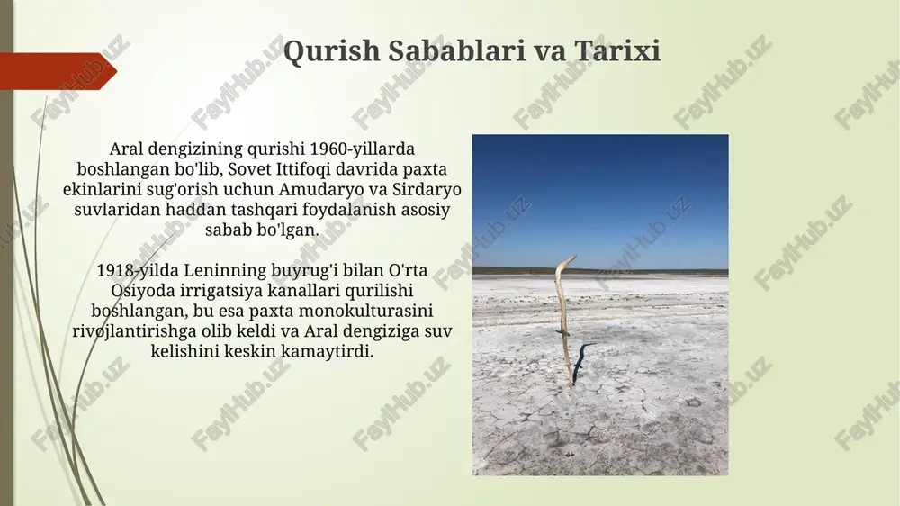 orol dengizining qurib borishi - Page 3