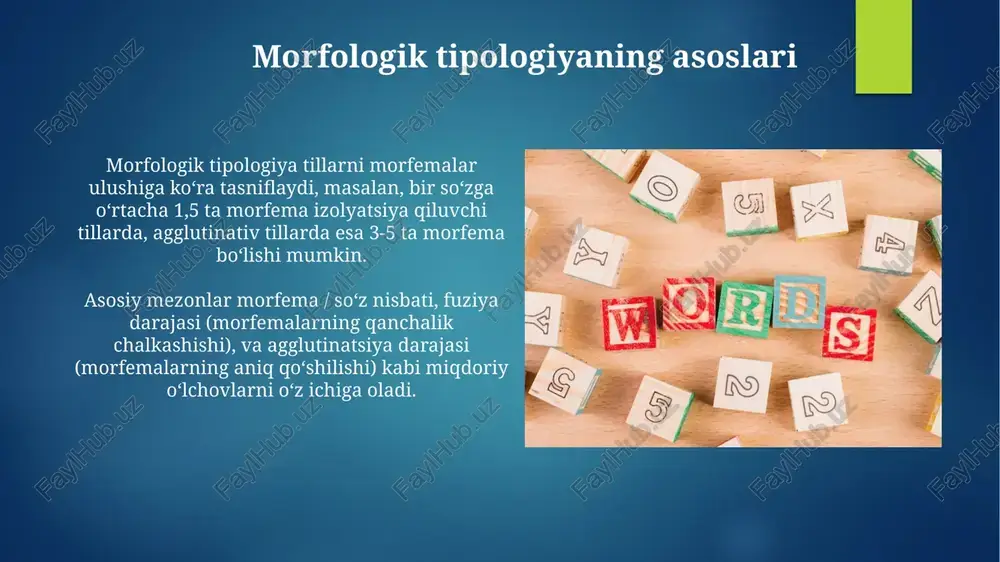 tillarning morfologik tasnifi - Page 3